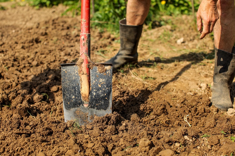 How Can Soil Type Impact Your Foundation
