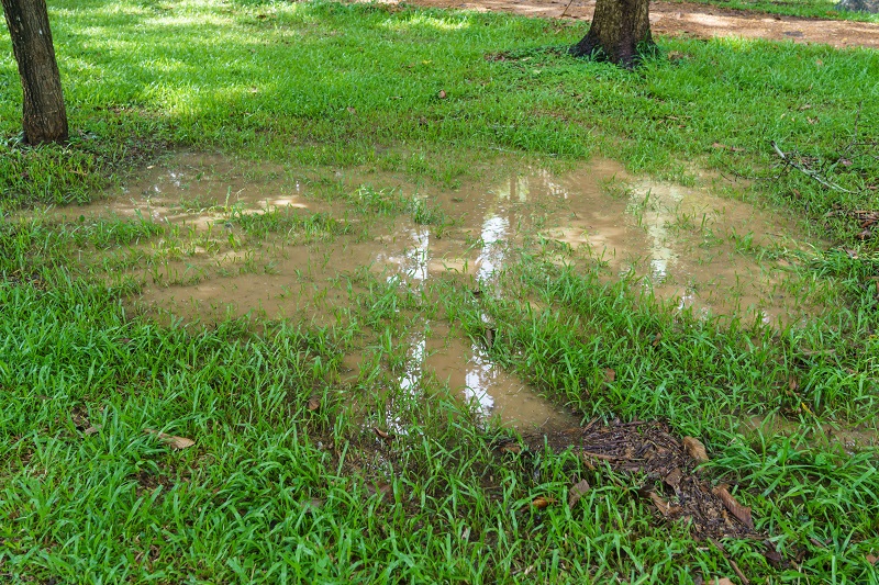 Protect Your Foundation with French Drains