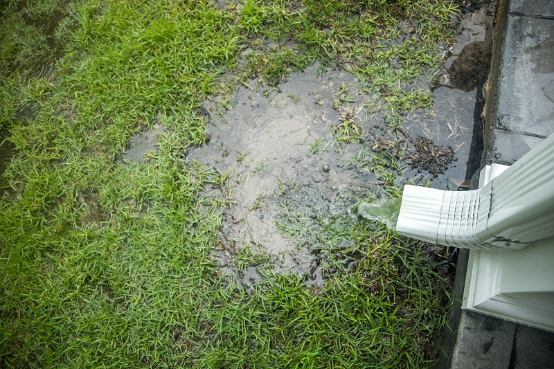 The Effects of Poor Drainage on Your Foundation and Home