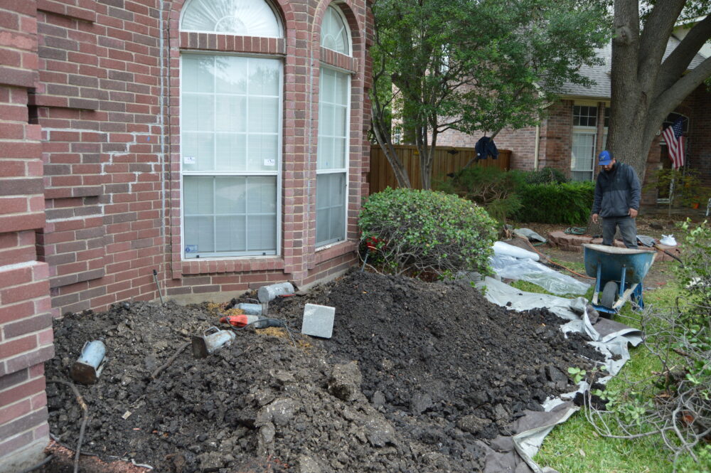 How Tree Roots Impact Your Slab Foundation and What to Do About It How Tree Roots Impact Your Slab Foundation and What to Do About It