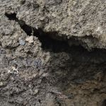 foundation repair